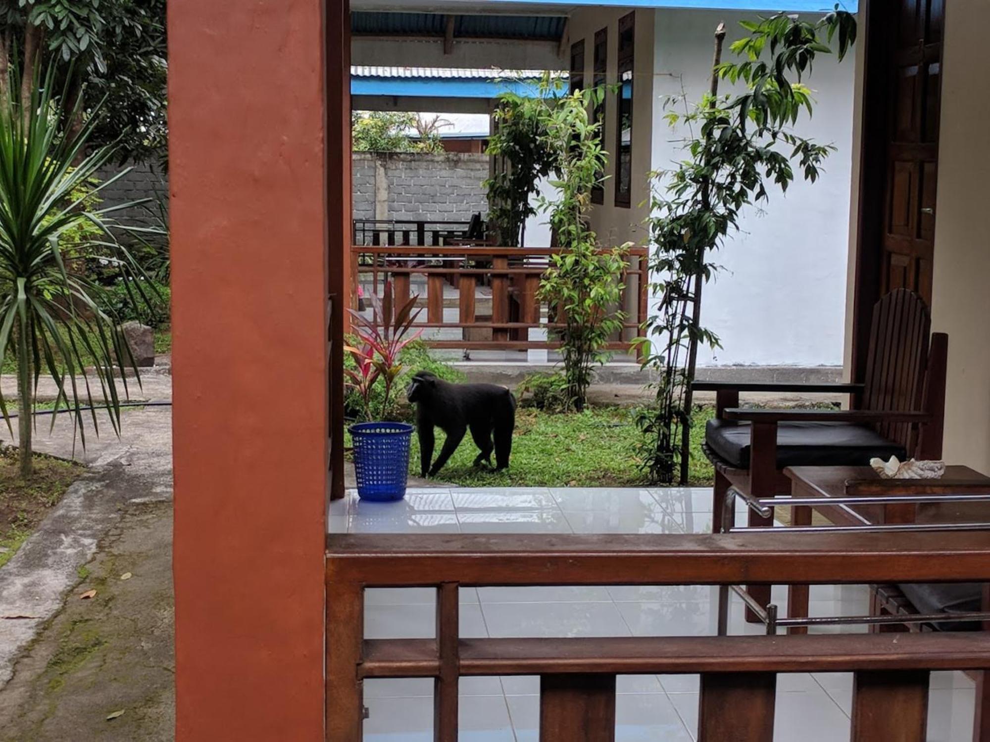 Tangkoko Macaca Hotel Rinondoran Exterior foto