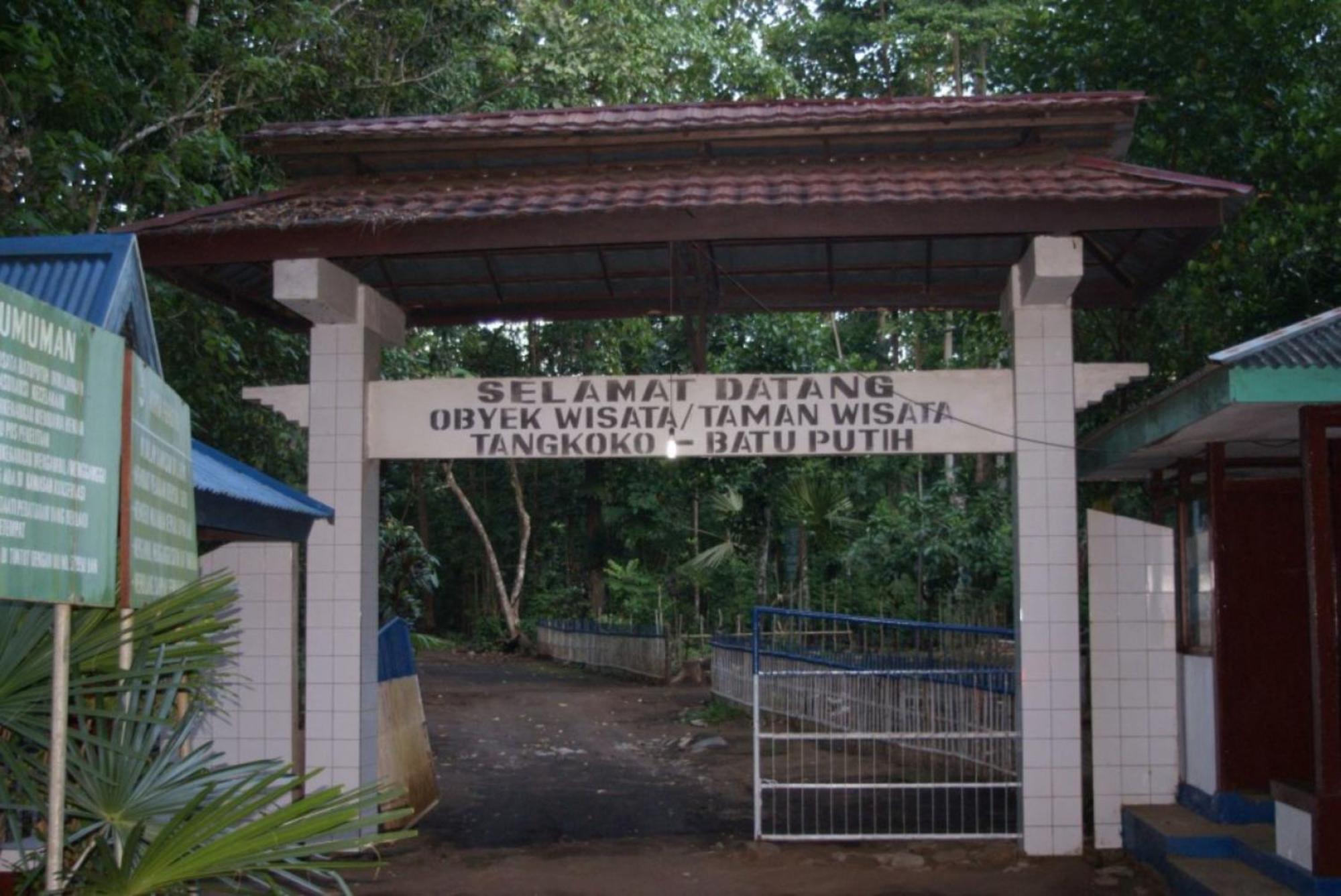 Tangkoko Macaca Hotel Rinondoran Exterior foto